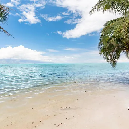 Fare Mehiata 3, Free Canoe